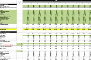 screenshot of financial projection template